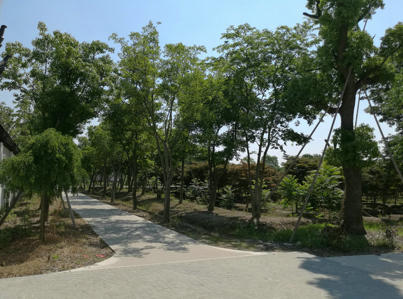 &#24320;&#20113;&#40;&#20013;&#22269;&#41;&#75;&#97;&#105;&#121;&#117;&#110;